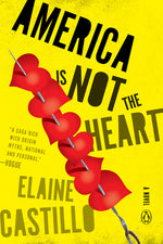 Book cover for America Is Not the Heart