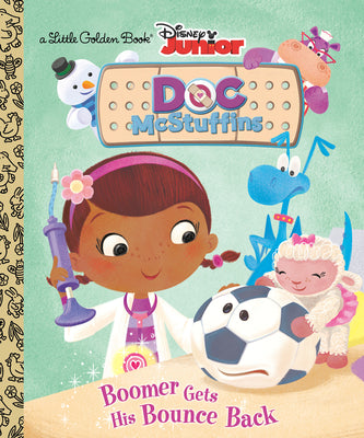 Book cover for Boomer Gets His Bounce Back