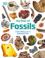 Book cover for My Book of Fossils: A Fact-Filled Guide to Prehistoric Life