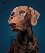 Book cover for The Dog Encyclopedia: The Definitive Visual Guide