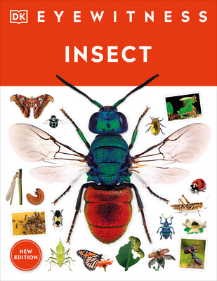 Book cover for Eyewitness Insect