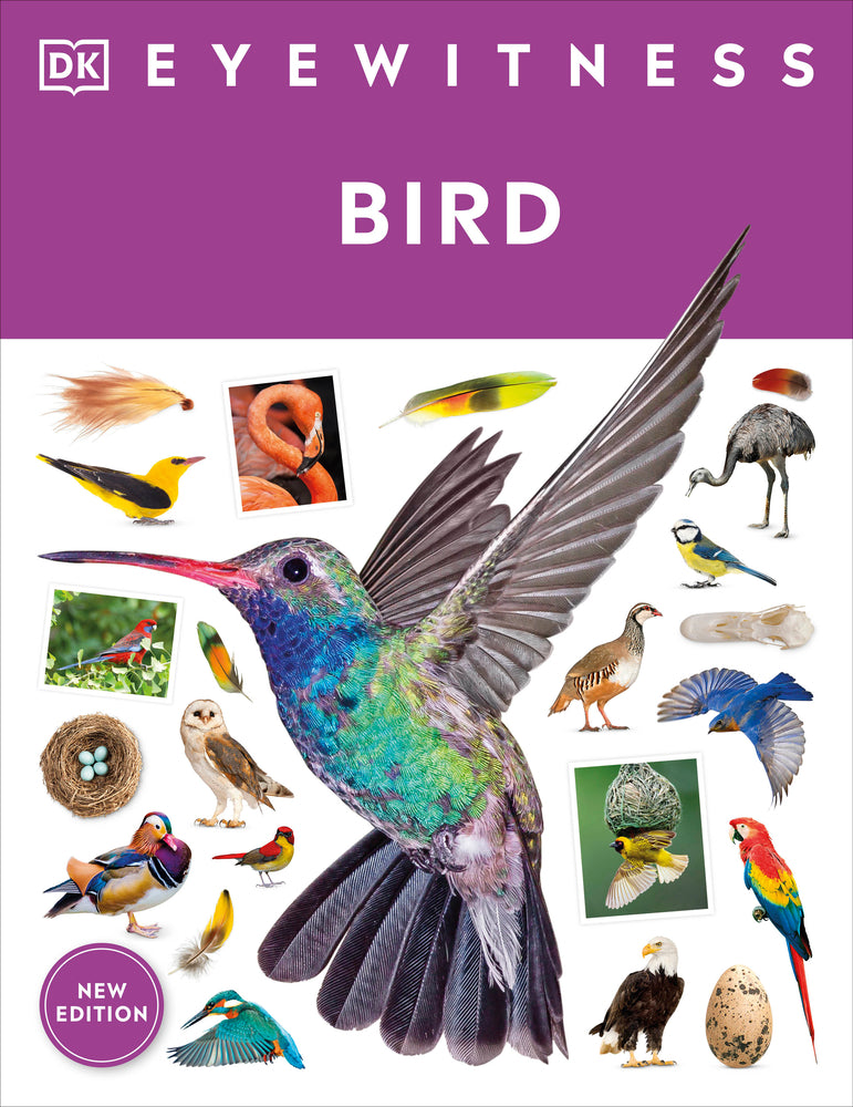 Book cover for Eyewitness Bird