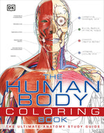 Book cover for The Human Body Coloring Book: The Ultimate Anatomy Study Guide