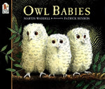 Book cover for Owl Babies