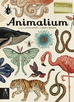 Book cover for Animalium: Welcome to the Museum