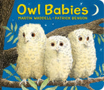 Book cover for Owl Babies