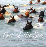 Book cover for Out of the Sea: Today's Chincoteague Pony (2nd Edition)