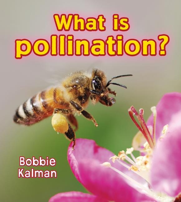 Book cover for What Is Pollination?