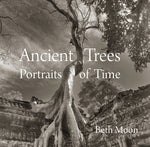Book cover for Ancient Trees: Portraits of Time