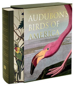 Book cover for Audubon's Birds of America: The Baby Elephant Folio