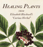 Book cover for Healing Plants: From Elizabeth Blackwell's a Curious Herbal