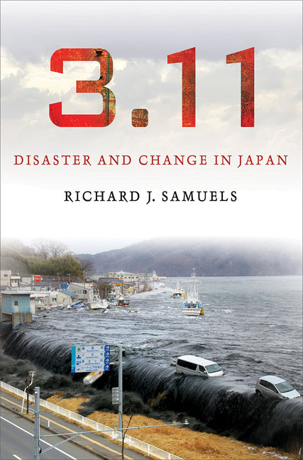 Book cover for 3.11: Disaster and Change in Japan
