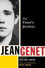 Book cover for The Thief's Journal