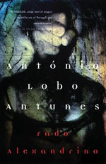 Book cover for Fado Alexandrino