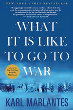 Book cover for What It Is Like to Go to War