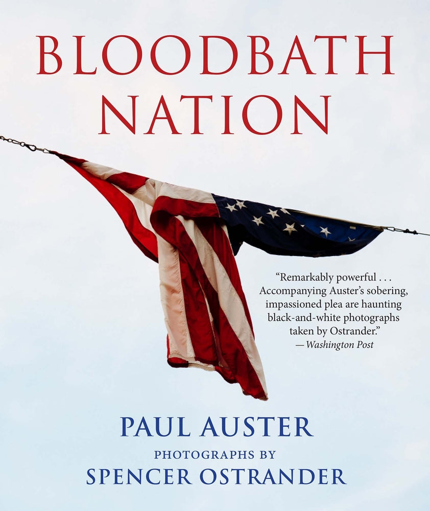 Book cover for Bloodbath Nation