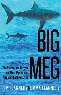 Book cover for Big Meg: The Story of the Largest and Most Mysterious Predator That Ever Lived