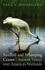 Book cover for Sandhill and Whooping Cranes: Ancient Voices Over America's Wetlands