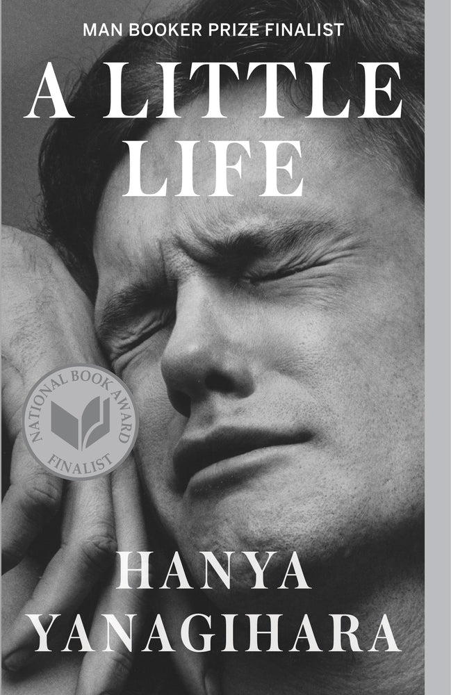 Book cover for A Little Life