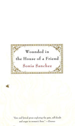 Book cover for Wounded in the House of a Friend