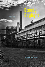 Book cover for Steady Daylight: Poems