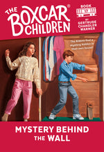 Book cover for Mystery Behind the Wall