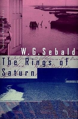 Book cover for The Rings of Saturn