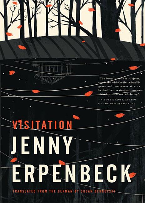 Book cover for Visitation