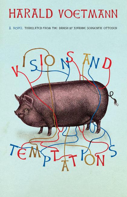 Book cover for Visions and Temptations