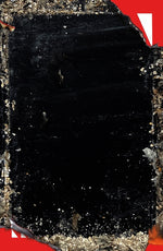 Book cover for Baron Wenckheim's Homecoming