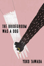 Book cover for Bridegroom Was a Dog