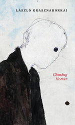 Book cover for Chasing Homer