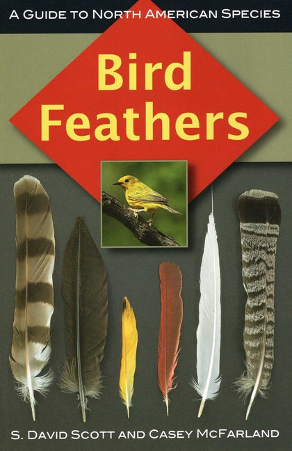 Book cover for Bird Feathers: A Guide to North American Species