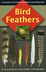 Book cover for Bird Feathers: A Guide to North American Species