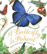Book cover for A Butterfly Is Patient