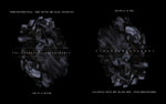 Book cover for Transtraterrestrial: Dark Matter and Black Divinities