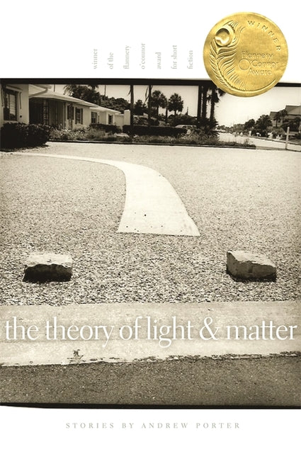 Book cover for The Theory of Light and Matter: Stories