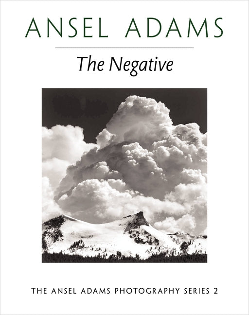 Book cover for The Negative