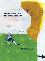 Book cover for Bringing the Shovel Down