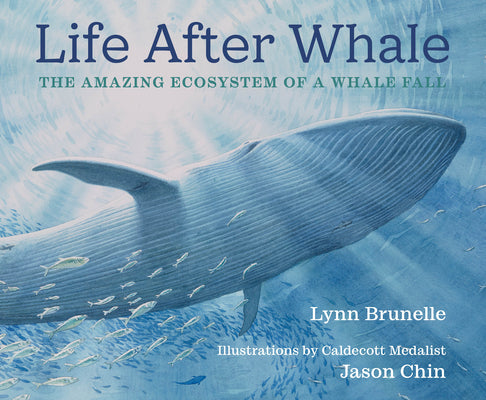 Book cover for Life After Whale: The Amazing Ecosystem of a Whale Fall