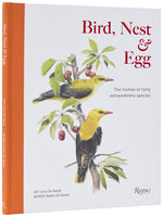 Book cover for Bird, Nest & Egg: The Homes of Forty Extraordinary Species