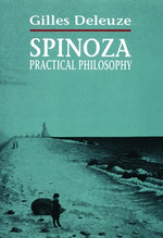 Book cover for Spinoza: Practical Philosophy