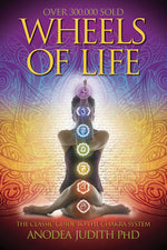 Book cover for Wheels of Life: A User's Guide to the Chakra System