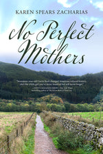 Book cover for No Perfect Mothers