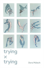 Book cover for Trying X Trying