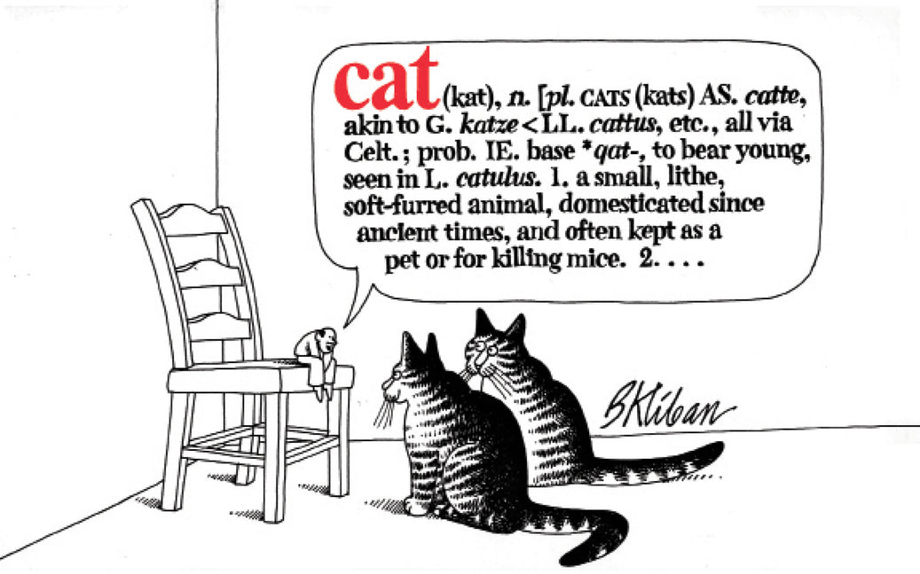 Book cover for Cat