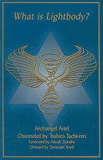 Book cover for What Is Lightbody?