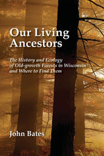 Book cover for Our Living Ancestors