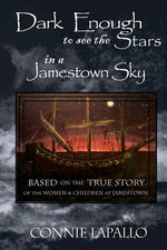 Book cover for Dark Enough to See the Stars in a Jamestown Sky