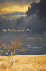 Book cover for Owl on Every Post